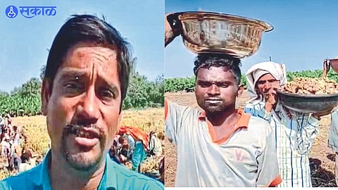 Jitendra Patil acquired 2 acres of ginger by earning lakhs of rupees from experimenting with farming nandurbar news