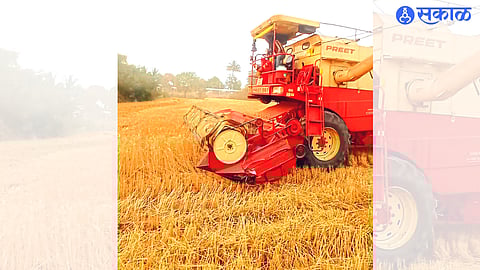 Harvesting wheat with the help of a harvester machine