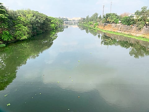 सांगवीत पालिकेकडून
मुळानदी जलपर्णीमुक्त