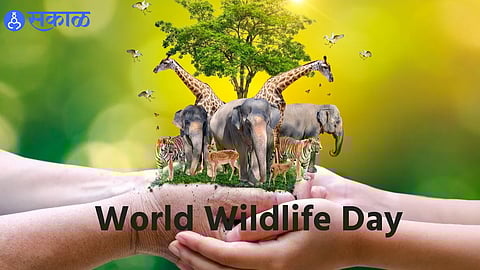 World Wildlife Day