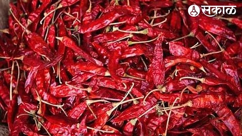 Red Chillies