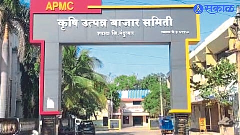 market committee election