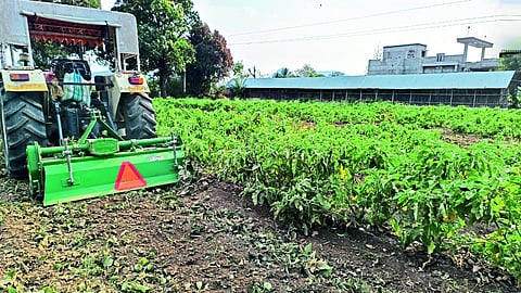 Dhananjay Borse turning the rotor on the brinjal crop in his field.