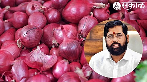 Onion Subsidy