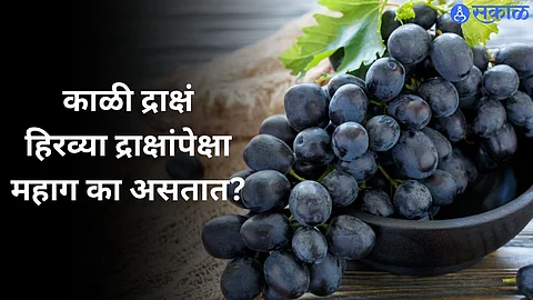Black Grapes
