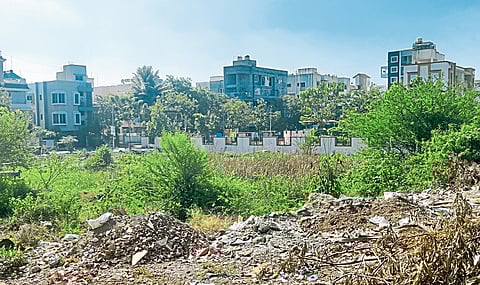 मोशीतील रिकाम्या भूखंडांची 
स्वच्छता करण्याची मागणी