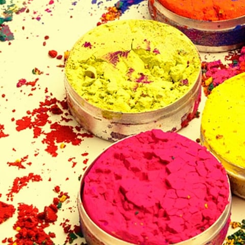 Holi Celebration