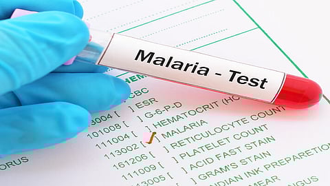 Malaria Disease