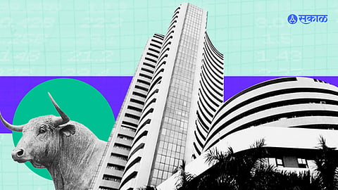 share market 2023 equity holder in profit sensecx and nifty at higher investor got 20 percent