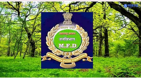 Maha Forest Recruitment