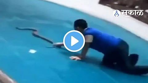 Viral Video