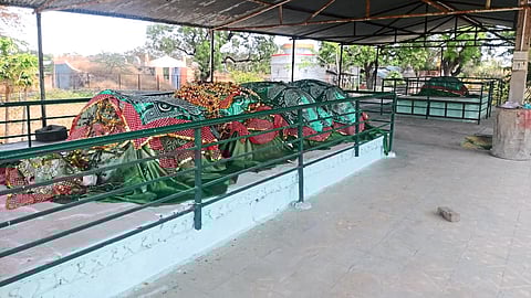 Nashik News: राजा-मन्नाशच्या यात्राेत्सवाला सुरुवात