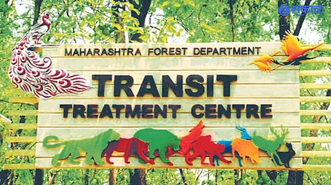 center for treatment of wild animals will be established in Jalgaon news