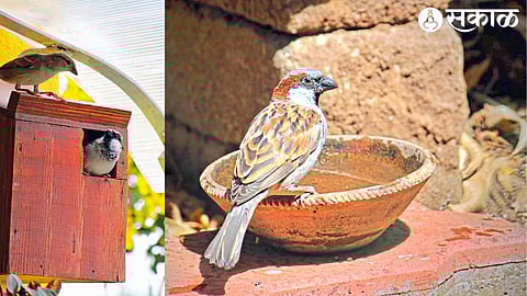 Chimney in Aarti Khodke's house on Gangapur Road.