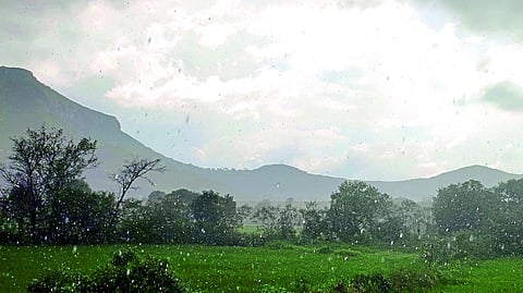 Cloudy weather in the taluka
