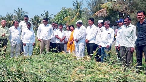 Prajakt Tanpure criticize state government farmer crop crisis agriculture rahuri