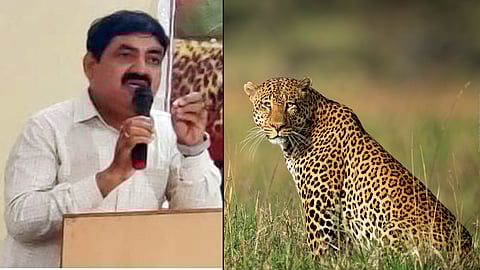 Junnar leopard News