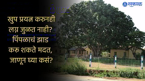 Peepal Tree Benefits