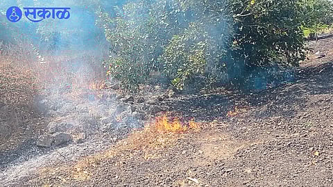 Garbage burning along the Mumbai Agra highway