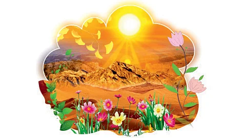 nature