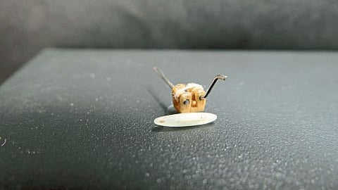 Charkha weighing 40 grams in Limca Book of Records Honoring Jayant Tandulkar of Nagpur