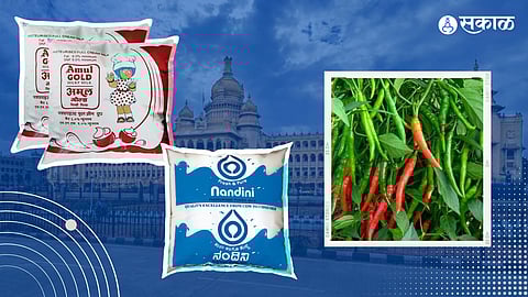 Karnataka Assembly Election 2023