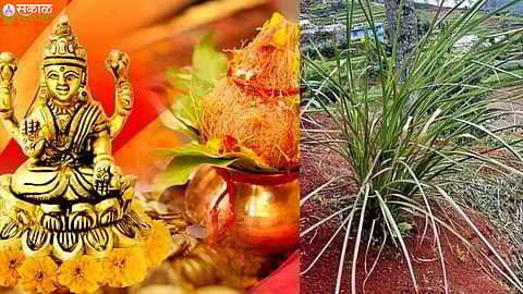 Akshaya Tritiya 2023