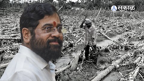 Unseasonal Rains : राज्य सरकारचा शेतकऱ्यांना मोठा दिलासा; मार्चची भरपाई लवकरच खात्यात पोहचणार