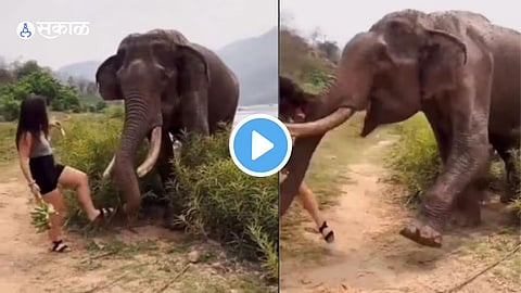 Viral Video