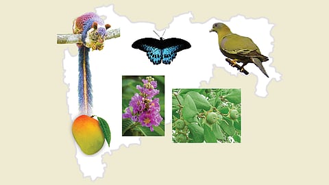 Insignia of maharashtra State