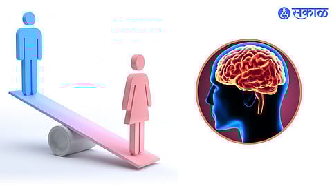 Who Have Bigger Brain