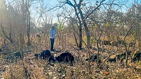 Vidarbha Agriculture : विदर्भात शेती करणारी पहिली मानव वसाहत सापडली; पुरातत्त्व अभ्यासक डॉ. नरांजेंचे संशोधन