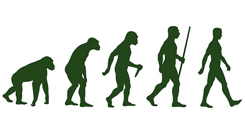 Evolution