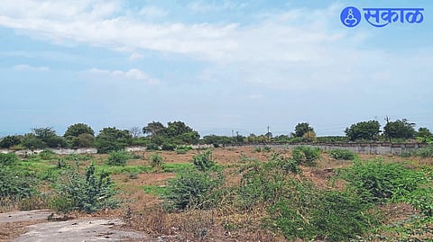 new warehouse to be set up at aamalad will have storage capacity of 3000 tonnes of grain