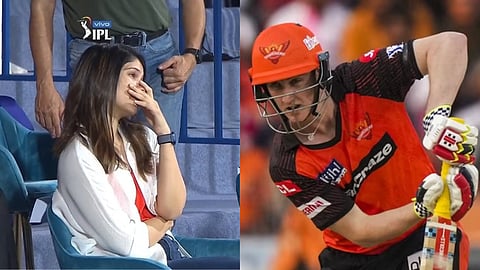 ipl 2023 harry brook