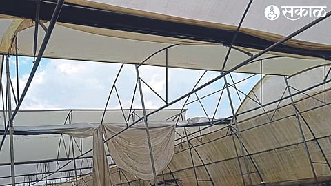 Damage to polyhouse due to bad weather and storm.