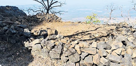 कुर्डुगडाला नवसंजीवनी