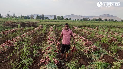 Unseasonal Rain Damage