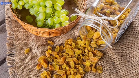 Grapes Vs Raisins