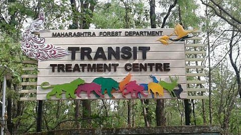 transit treatment center to treat injured wild animals stalled satara