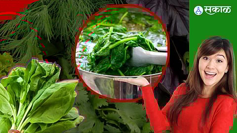 Spinach Water Benefits