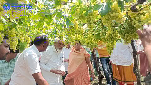 Guardian Minister Dada Bhuse along with Sarpanch Shobha Boraste while inspecting the damaged vineyards