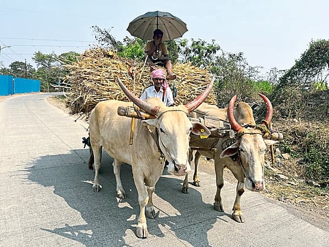 अवकाळीचा पूर्वतयारी...