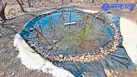 Artificial water bodies created by forest department for wildlife in the area.