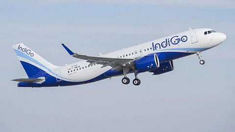 indigo flight