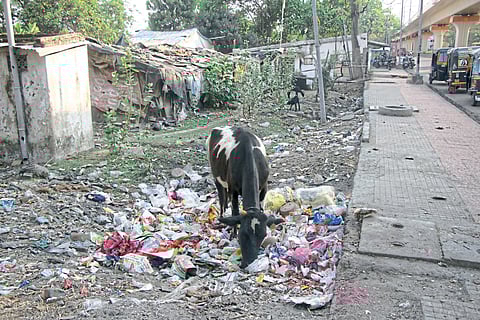 अस्वच्छता