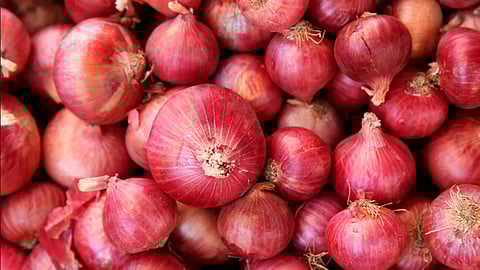 Onion Subsidy