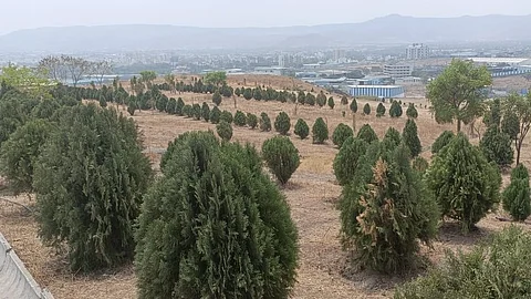 Waste Management Tourism