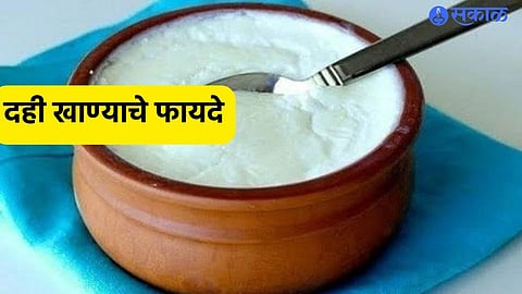 Curd Health Benefits
