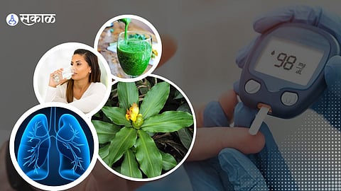 इन्श्युलिन रोप